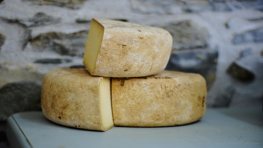 Cut wheels of cheese https://unsplash.com/photos/baked-bread-KaK2jp8ie8s