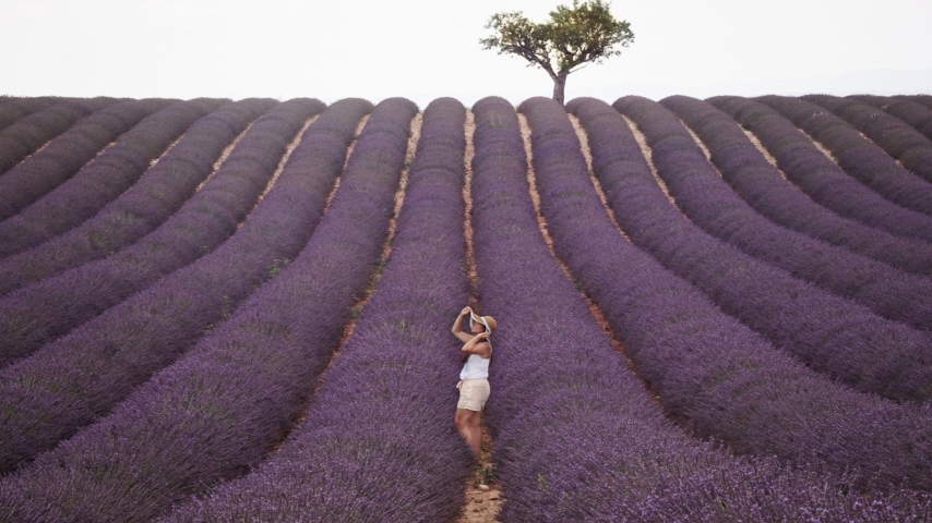 Woman in lavender fields of France https://www.pexels.com/photo/woman-in-lavender-fields-of-france-4894550/